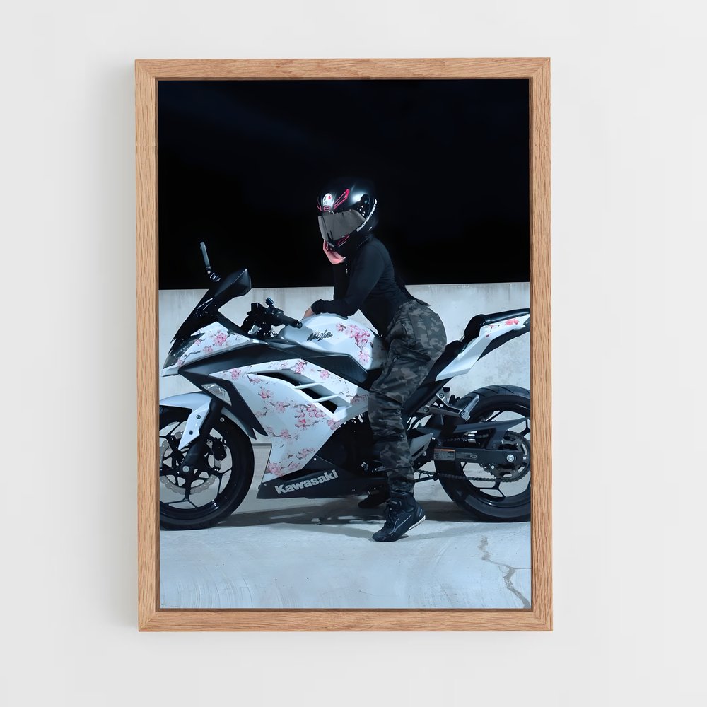 Poster Ride of the Ninja (vue 4)